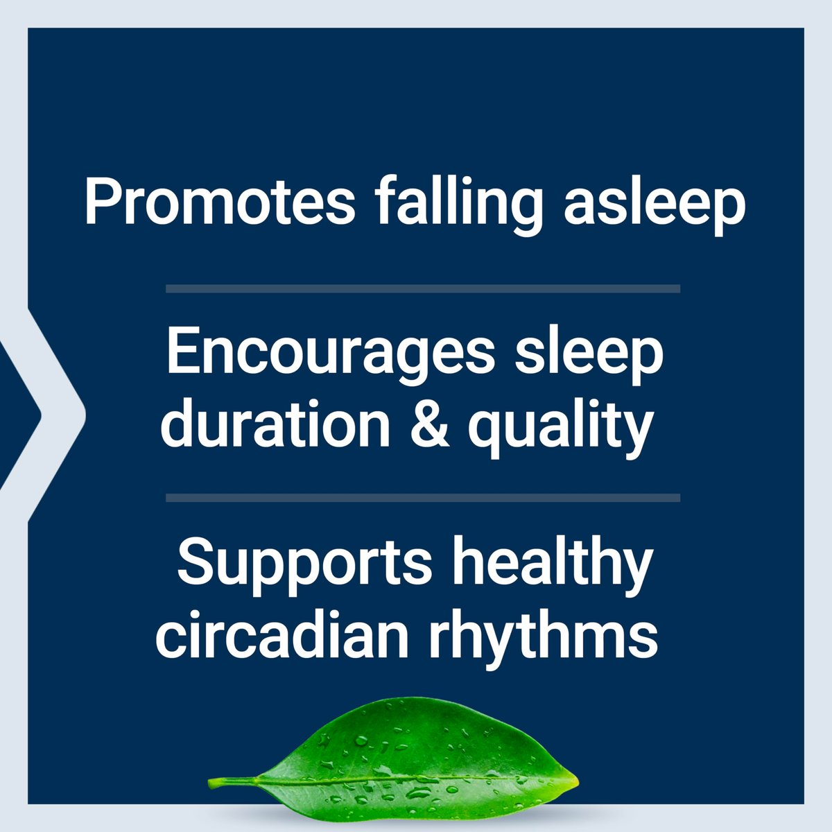 Life Extension Melatonin 3 mg – Optimale Schlafunterstützung, gesunder circadianer Rhythmus, Zellschutz, glutenfrei, nicht-GVO, vegetarisch, 60 lutschtabletten