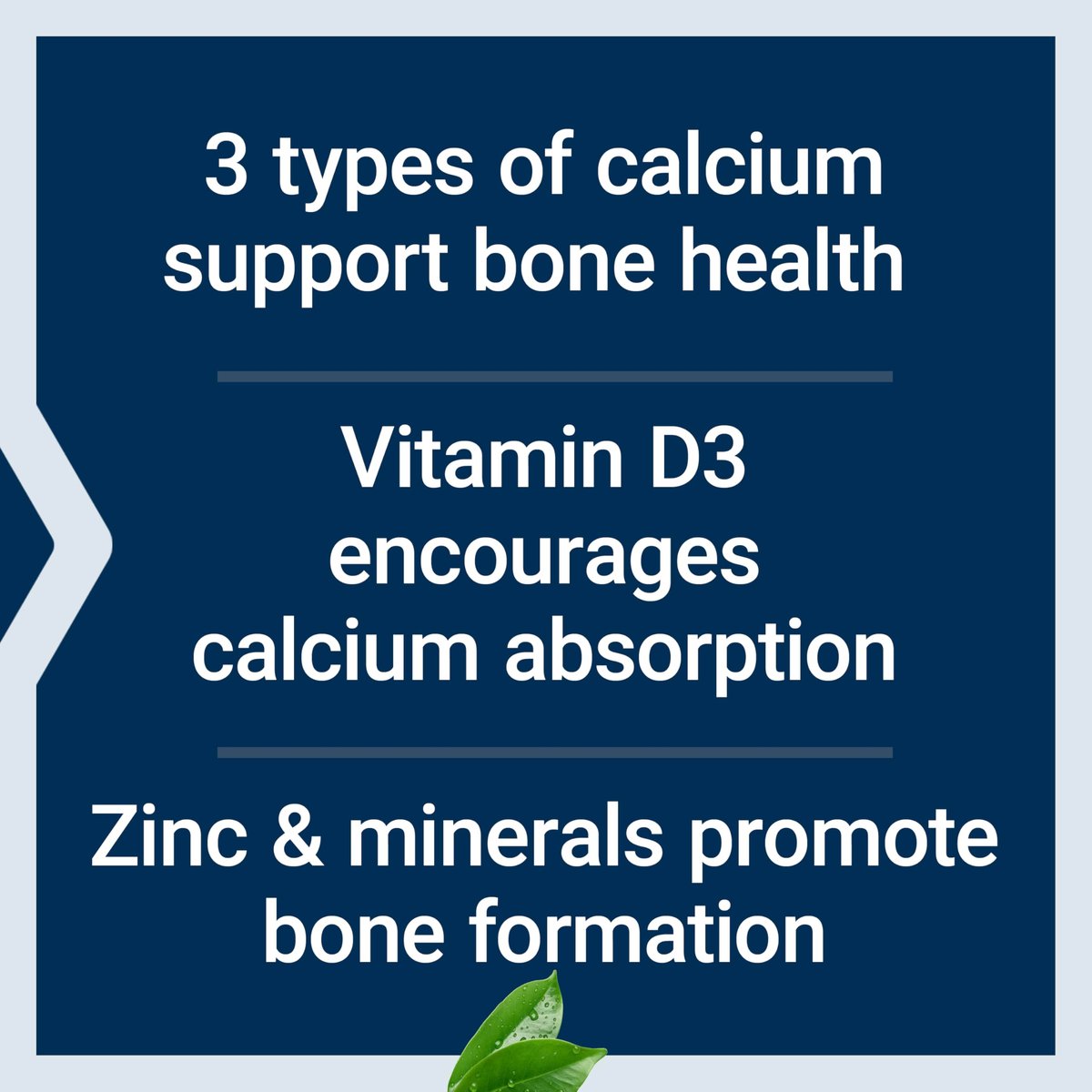 Life Extension Bone Restore Calcium-Komplex mit Vitamin D3, Magnesium, Bor, Zink, Mangan, Silicium – Unterstützt gesunde Knochendichte, glutenfrei, non-GMO, 120 Kapseln
