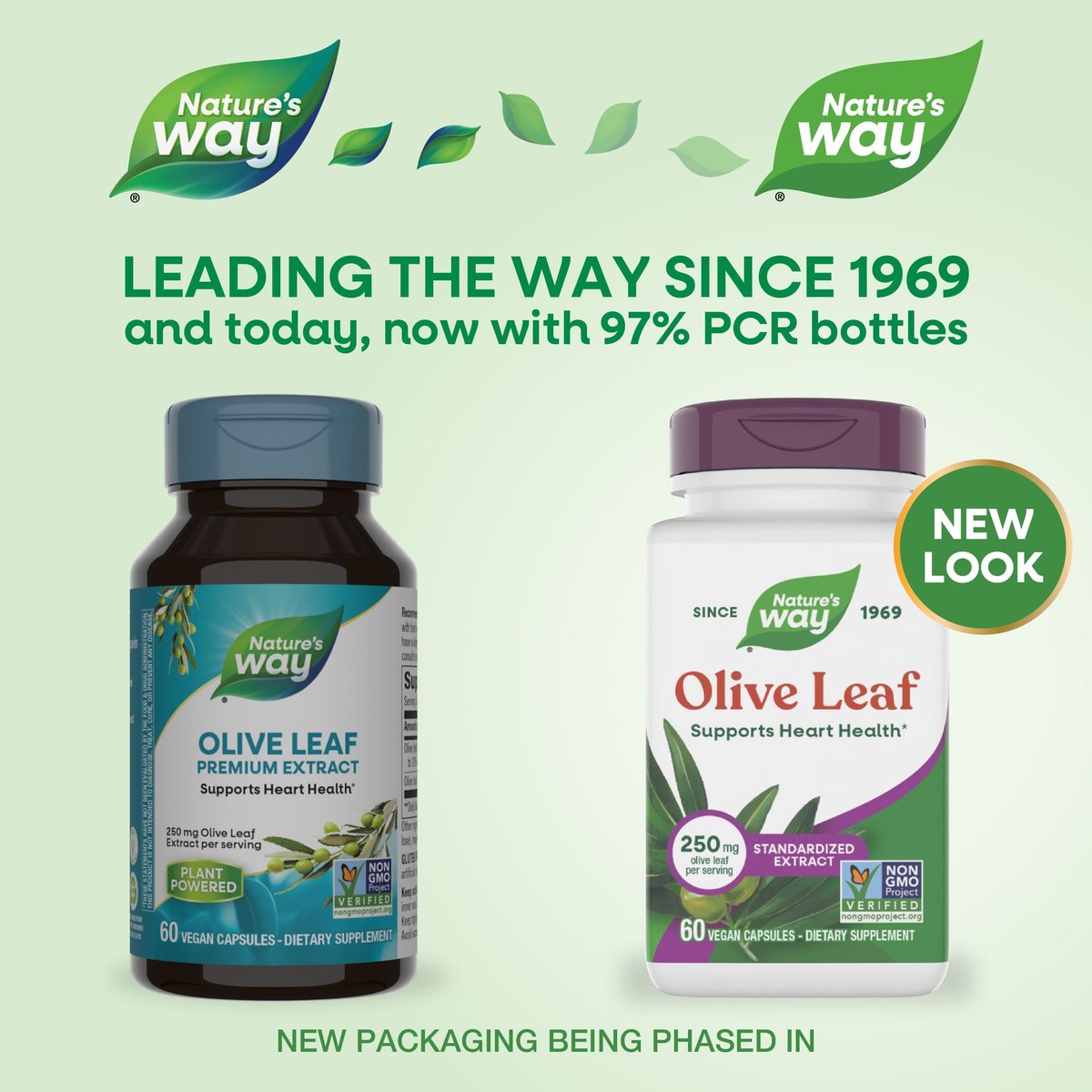 Nature's Way Olivenblatt standardisierter Extrakt – 60 Kapseln, 250 mg, unterstützt die Herzgesundheit*, glutenfrei, vegan