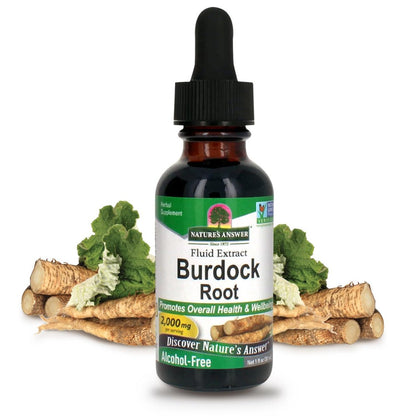Nature's Answer Alkoholfreie Klettenwurzel 2000 mg 1 oz Extrakt | Fördert das allgemeine Wohlbefinden | Glutenfrei, Nicht-GVO, Vegan, ohne künstliche Aromen oder Konservierungsstoffe | Einzeldosis