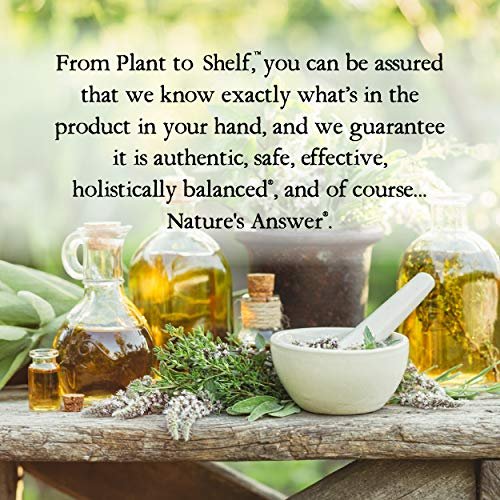 Nature's Answer Ashwagandha Wurzel | Pflanzliches Nahrungsergänzungsmittel zur Unterstützung einer gesunden Immunfunktion | Hilft dem Körper bei Stress | Glutenfrei, alkoholfrei & vegan 60 ml