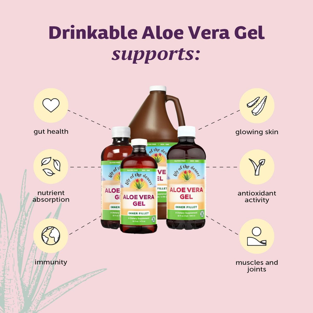 Lily of The Desert Aloe Vera Gel – Inner Fillet gefiltertes Aloe Vera Getränk, dickere Konsistenz, Verdauungsenzyme für die Darmgesundheit, Magenberuhigung, Wohlbefinden, strahlende Haut, 16,5 Fl Oz inkl. Gelly-Beutel