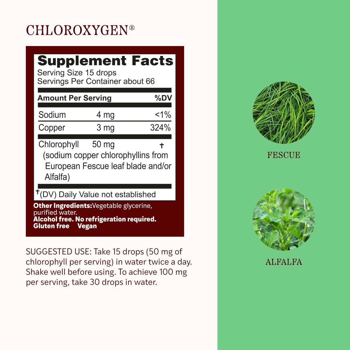 Herbs Etc. ChlorOxygen Chlorophyll Konzentrat Alkoholfreier Flüssigextrakt - Flüssige Chlorophyll-Tropfen - Entgiftend & Desodorierend - Unterstützung für Haut, Darm & Energie - Glutenfrei - 30 ml (66 Portionen)