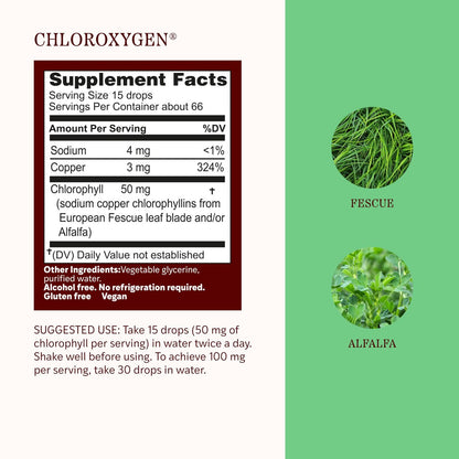 Herbs Etc. ChlorOxygen Chlorophyll Konzentrat Alkoholfreier Flüssigextrakt - Flüssige Chlorophyll-Tropfen - Entgiftend & Desodorierend - Unterstützung für Haut, Darm & Energie - Glutenfrei - 30 ml (66 Portionen)
