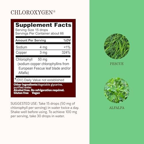 Herbs Etc. ChlorOxygen Chlorophyll Konzentrat Alkoholfreier Flüssigextrakt - Flüssige Chlorophyll-Tropfen - Entgiftend & Desodorierend - Unterstützung für Haut, Darm & Energie - Glutenfrei - 30 ml (66 Portionen)