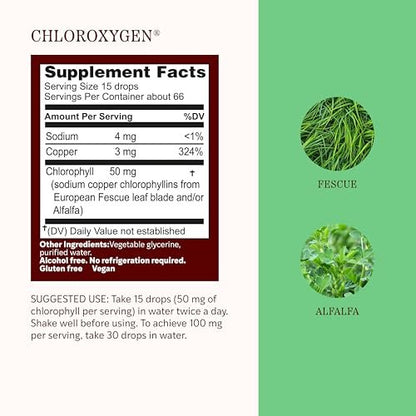 Herbs Etc. ChlorOxygen Chlorophyll Konzentrat Alkoholfreier Flüssigextrakt - Flüssige Chlorophyll-Tropfen - Entgiftend & Desodorierend - Unterstützung für Haut, Darm & Energie - Glutenfrei - 30 ml (66 Portionen)