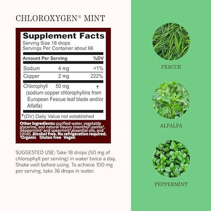 Herbs Etc. ChlorOxygen Chlorophyll Konzentrat Minze alkoholfreier flüssiger Extrakt - Flüssige Chlorophylltropfen - Entgiftend & desodorierend - Unterstützung für Haut, Darm & Energie - 1 fl oz (66 Portionen)