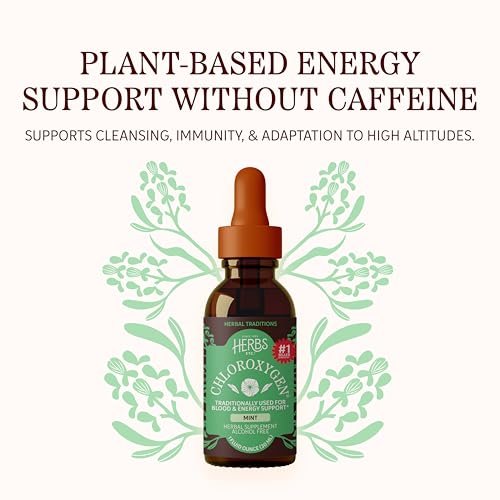 Herbs Etc. ChlorOxygen Chlorophyll Konzentrat Minze alkoholfreier flüssiger Extrakt - Flüssige Chlorophylltropfen - Entgiftend & desodorierend - Unterstützung für Haut, Darm & Energie - 1 fl oz (66 Portionen)