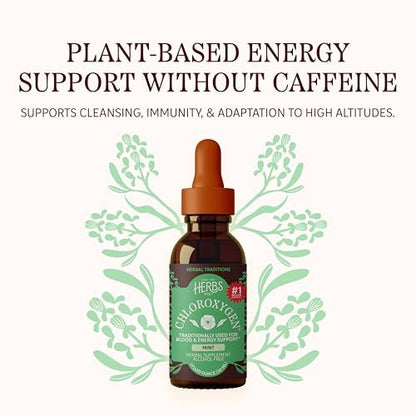 Herbs Etc. ChlorOxygen Chlorophyll Konzentrat Minze alkoholfreier flüssiger Extrakt - Flüssige Chlorophylltropfen - Entgiftend & desodorierend - Unterstützung für Haut, Darm & Energie - 1 fl oz (66 Portionen)