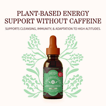 Herbs Etc. ChlorOxygen Chlorophyll Konzentrat Minze alkoholfreier flüssiger Extrakt - Flüssige Chlorophylltropfen - Entgiftend & desodorierend - Unterstützung für Haut, Darm & Energie - 1 fl oz (66 Portionen)