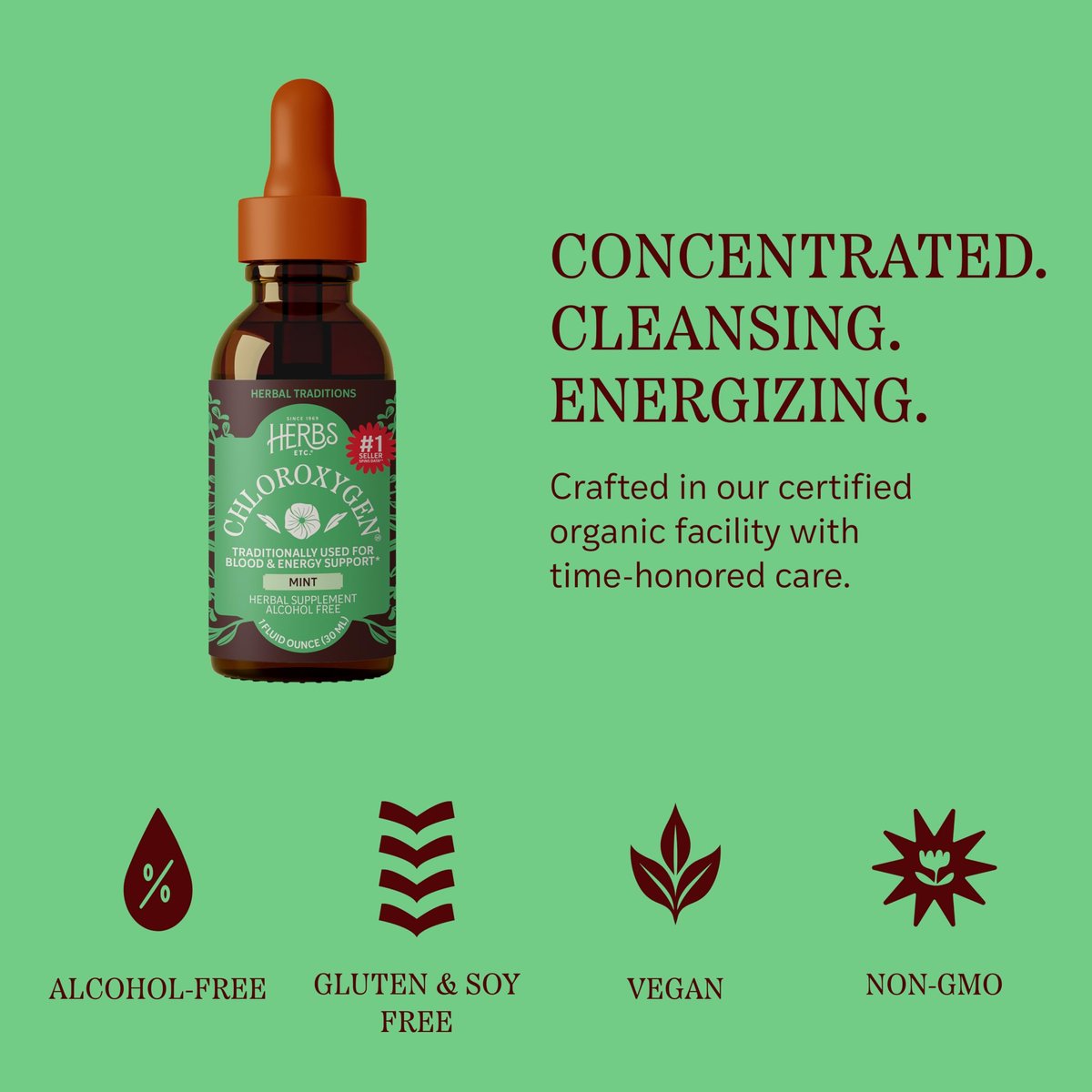 Herbs Etc. ChlorOxygen Chlorophyll Konzentrat Minze alkoholfreier flüssiger Extrakt - Flüssige Chlorophylltropfen - Entgiftend & desodorierend - Unterstützung für Haut, Darm & Energie - 1 fl oz (66 Portionen)