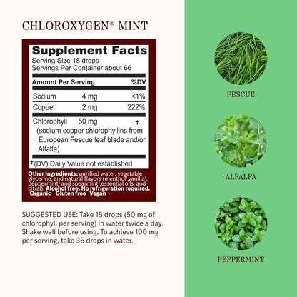 Herbs Etc. ChlorOxygen Chlorophyll Konzentrat Minze alkoholfreier flüssiger Extrakt - Flüssige Chlorophylltropfen - Entgiftend & desodorierend - Unterstützung für Haut, Darm & Energie - 1 fl oz (66 Portionen)