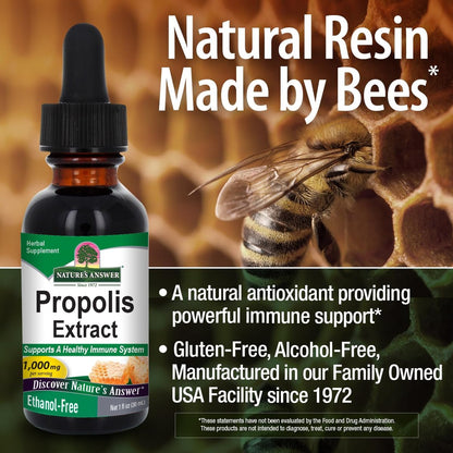 Nature's Answer Alkoholfreies Propolis-Harz, 30 ml (1 fl.oz) – Hochwertiges Nahrungsergänzungsmittel