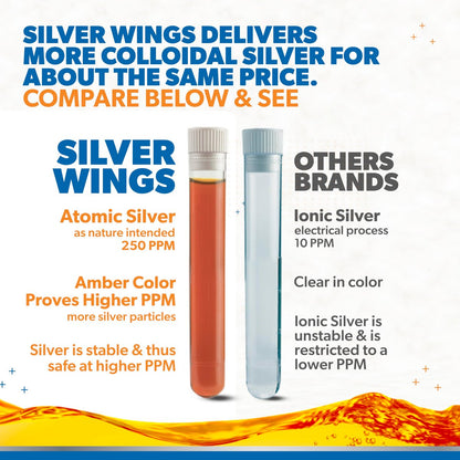 Natural Path Silver Wings Kolloidales Silber Liquid - Immunsystem Unterstützung - 250 ppm (1250 mcg) - 30 ml Pipette