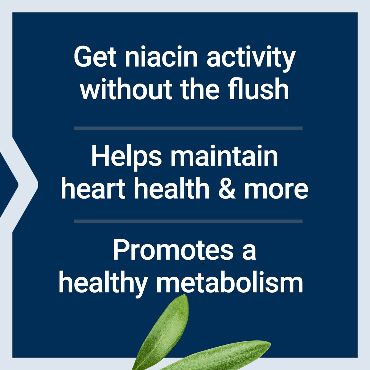 Life Extension No Flush Niacin – B3 für Herzgesundheit, Cholesterin & Energie, Nicht-GVO, Glutenfrei, 100 Kapseln