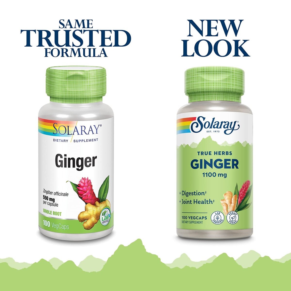 SOLARAY Ingwerwurzel 1100 mg – Gesunde Verdauung, Gelenke und Beweglichkeit & Magenunterstützung – Ganze Wurzel – Non-GMO & Vegan – 100 VegCaps