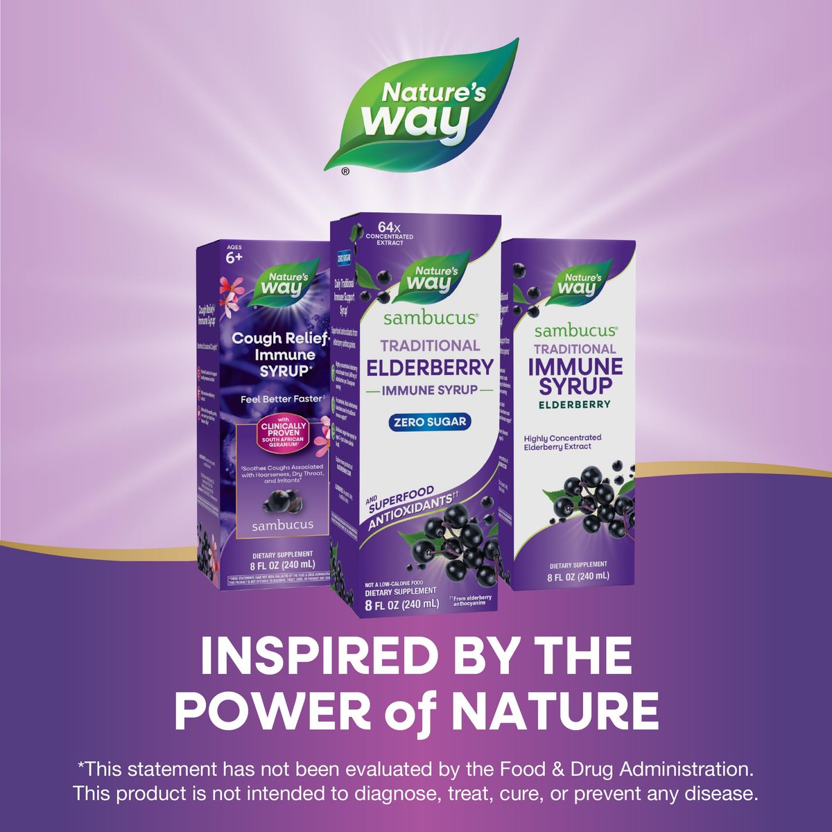 Nature’s Way Sambucus Zero Sugar Traditioneller Holundersirup – Hochkonzentrierter Holunderextrakt, zuckerfrei, Beerengeschmack, 240 ml
