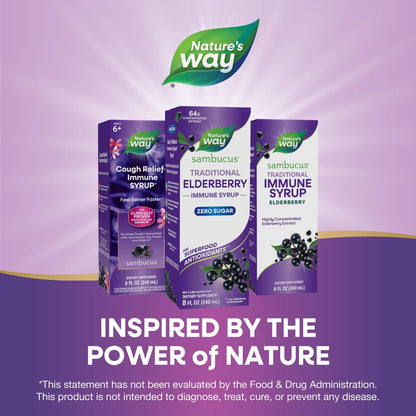 Nature’s Way Sambucus Zero Sugar Traditioneller Holundersirup – Hochkonzentrierter Holunderextrakt, zuckerfrei, Beerengeschmack, 240 ml