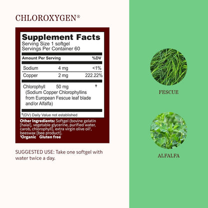 Herbs Etc. ChlorOxygen Chlorophyll Konzentrat Weichkapseln – Hochwirksames Chlorophyll für Entgiftung, Deodorisierung, Haut-, Darm- und Energieunterstützung – 60 Kapseln (60 Portionen)