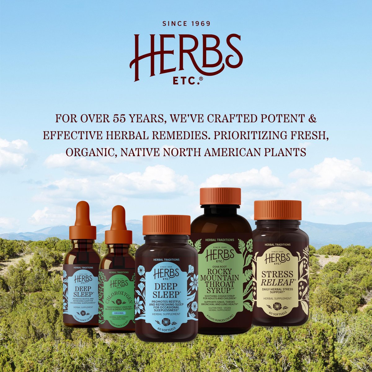 Herbs Etc. ChlorOxygen Chlorophyll Konzentrat Weichkapseln – Hochwirksames Chlorophyll für Entgiftung, Deodorisierung, Haut-, Darm- und Energieunterstützung – 60 Kapseln (60 Portionen)