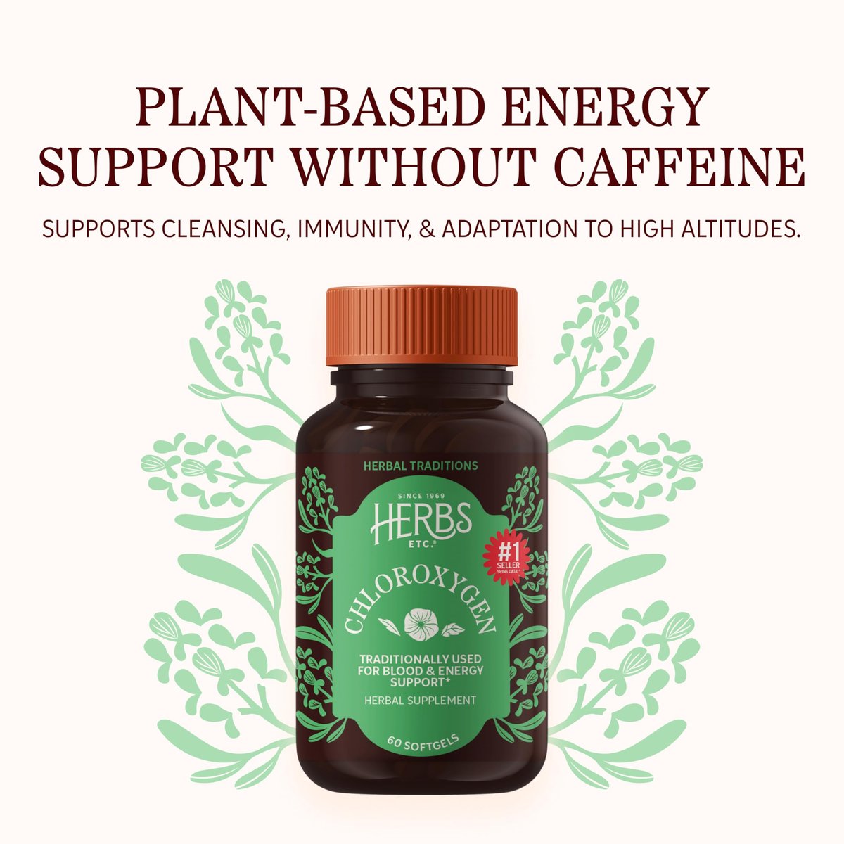 Herbs Etc. ChlorOxygen Chlorophyll Konzentrat Weichkapseln – Hochwirksames Chlorophyll für Entgiftung, Deodorisierung, Haut-, Darm- und Energieunterstützung – 60 Kapseln (60 Portionen)