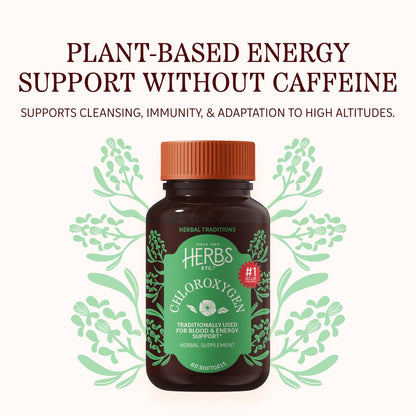Herbs Etc. ChlorOxygen Chlorophyll Konzentrat Weichkapseln – Hochwirksames Chlorophyll für Entgiftung, Deodorisierung, Haut-, Darm- und Energieunterstützung – 60 Kapseln (60 Portionen)