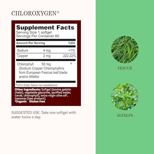 Herbs Etc. ChlorOxygen Chlorophyll Konzentrat Weichkapseln – Hochwirksames Chlorophyll für Entgiftung, Deodorisierung, Haut-, Darm- und Energieunterstützung – 60 Kapseln (60 Portionen)