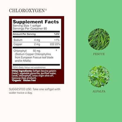 Herbs Etc. ChlorOxygen Chlorophyll Konzentrat Weichkapseln – Hochwirksames Chlorophyll für Entgiftung, Deodorisierung, Haut-, Darm- und Energieunterstützung – 60 Kapseln (60 Portionen)
