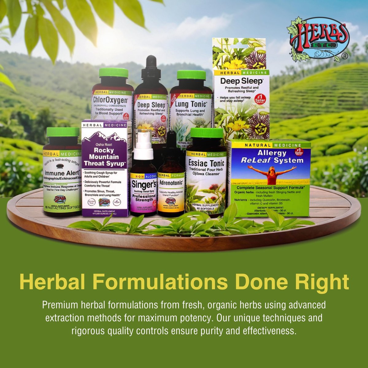 Herbs Etc. ChlorOxygen Chlorophyll Konzentrat Weichkapseln – Hochwirksames Chlorophyll für Entgiftung, Deodorisierung, Haut-, Darm- und Energieunterstützung – 60 Kapseln (60 Portionen)