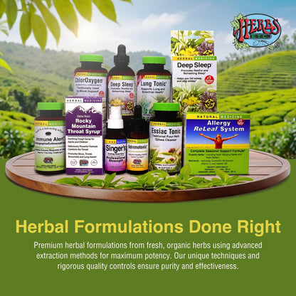 Herbs Etc. ChlorOxygen Chlorophyll Konzentrat Weichkapseln – Hochwirksames Chlorophyll für Entgiftung, Deodorisierung, Haut-, Darm- und Energieunterstützung – 60 Kapseln (60 Portionen)