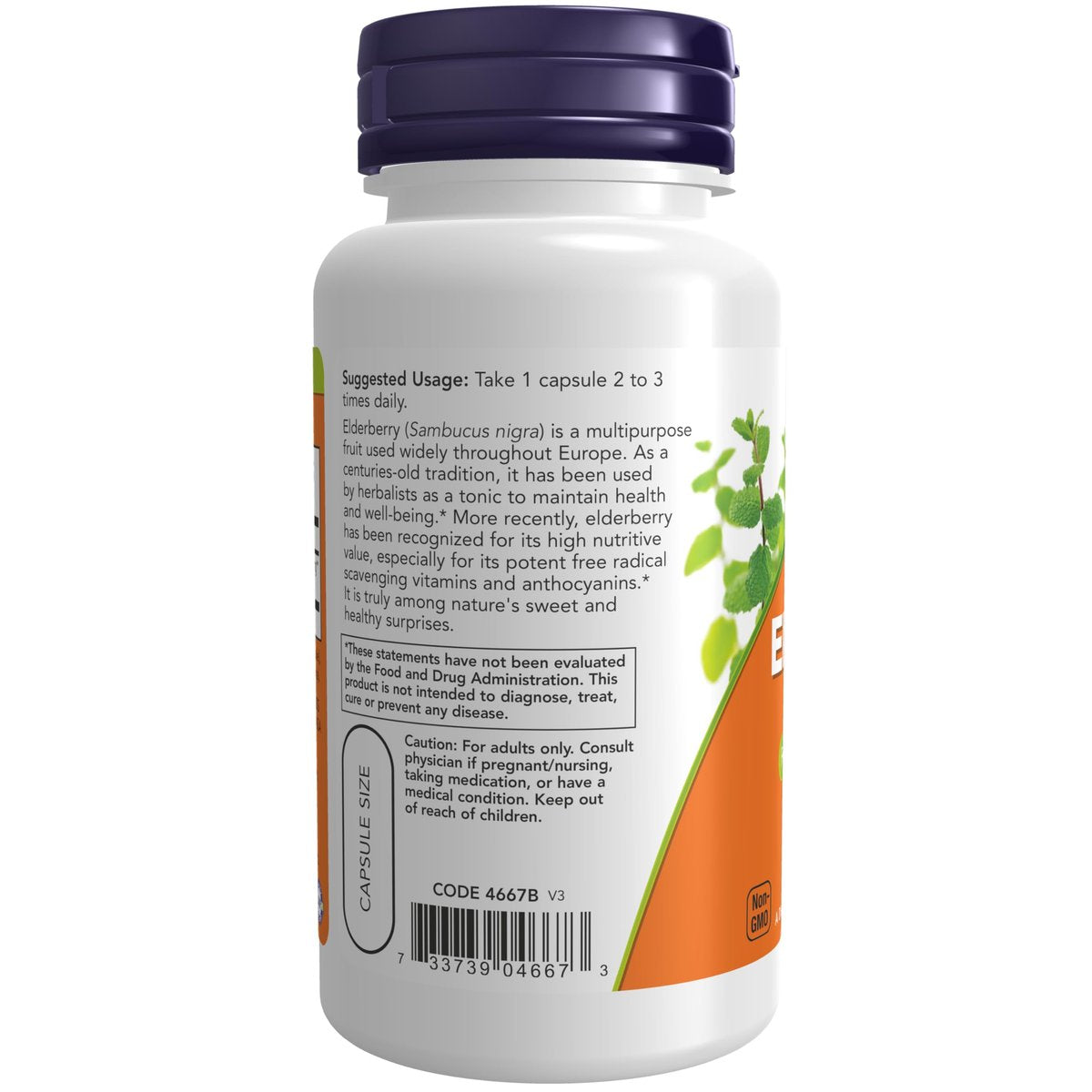 NOW Foods Holunderbeere (Sambucus nigra) 500 mg, 10:1 Konzentrat, 60 vegane Kapseln