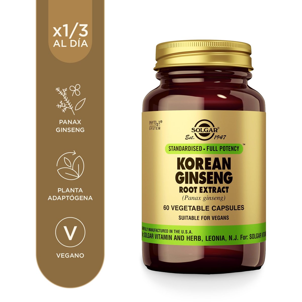 Solgar Koreanischer Ginseng-Wurzelextrakt, 60 vegane Kapseln – Immununterstützung – standardisiert, volle Wirksamkeit – nicht-GVO, vegan, glutenfrei, milchfrei, koscher – 60 Portionen