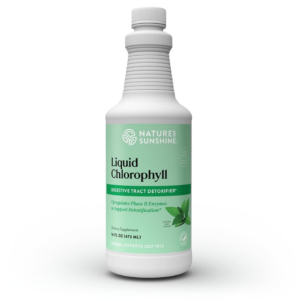 Nature's Sunshine Chlorophyll Flüssig – Immununterstützung, Entgiftung & Reinigung mit Pfefferminzöl, natürlicher Energie-Boost, innerliches Deodorant – 473 ml