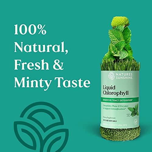 Nature's Sunshine Chlorophyll Flüssig – Immununterstützung, Entgiftung & Reinigung mit Pfefferminzöl, natürlicher Energie-Boost, innerliches Deodorant – 473 ml