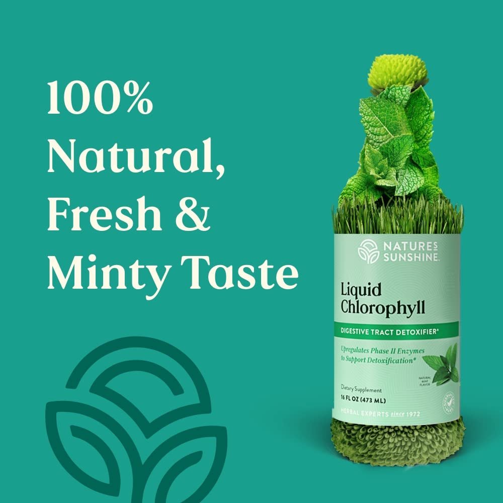 Nature's Sunshine Chlorophyll Flüssig – Immununterstützung, Entgiftung & Reinigung mit Pfefferminzöl, natürlicher Energie-Boost, innerliches Deodorant – 473 ml