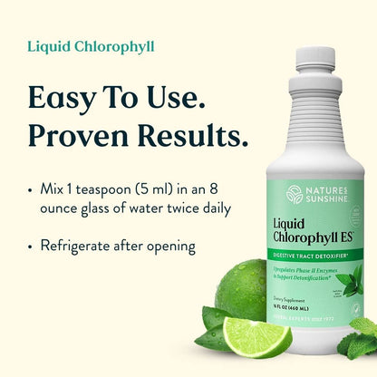 Nature's Sunshine Chlorophyll Flüssig – Immununterstützung, Entgiftung & Reinigung mit Pfefferminzöl, natürlicher Energie-Boost, innerliches Deodorant – 473 ml