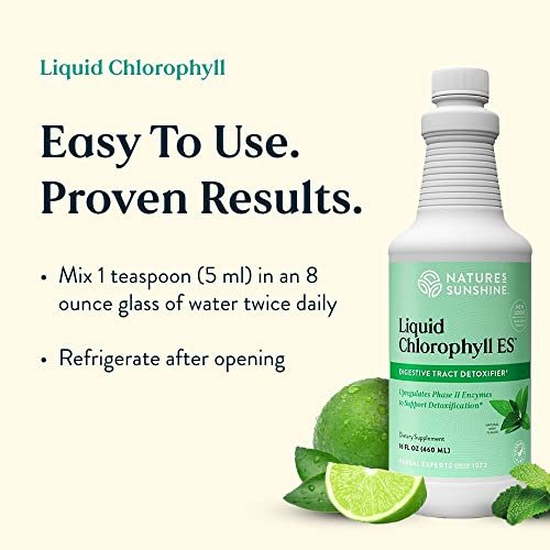 Nature's Sunshine Chlorophyll Flüssig – Immununterstützung, Entgiftung & Reinigung mit Pfefferminzöl, natürlicher Energie-Boost, innerliches Deodorant – 473 ml