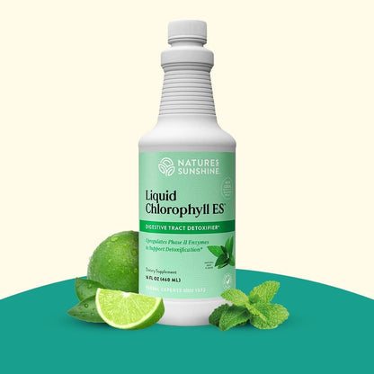 Nature's Sunshine Chlorophyll Flüssig – Immununterstützung, Entgiftung & Reinigung mit Pfefferminzöl, natürlicher Energie-Boost, innerliches Deodorant – 473 ml