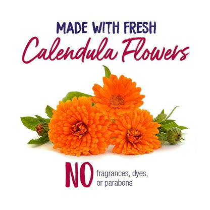 Boiron Calendula Creme für Erste Hilfe – bei leichten Verbrennungen, Schnittwunden, Schürfwunden, Insektenstichen und Sonnenbrand – 2,5 Unzen