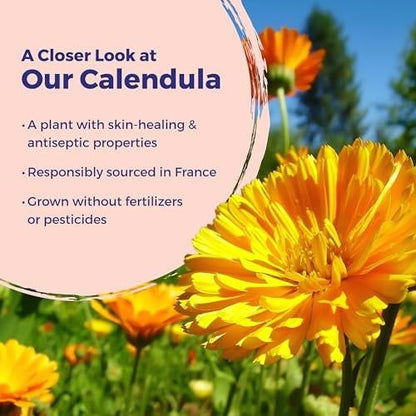 Boiron Calendula Creme für Erste Hilfe – bei leichten Verbrennungen, Schnittwunden, Schürfwunden, Insektenstichen und Sonnenbrand – 2,5 Unzen