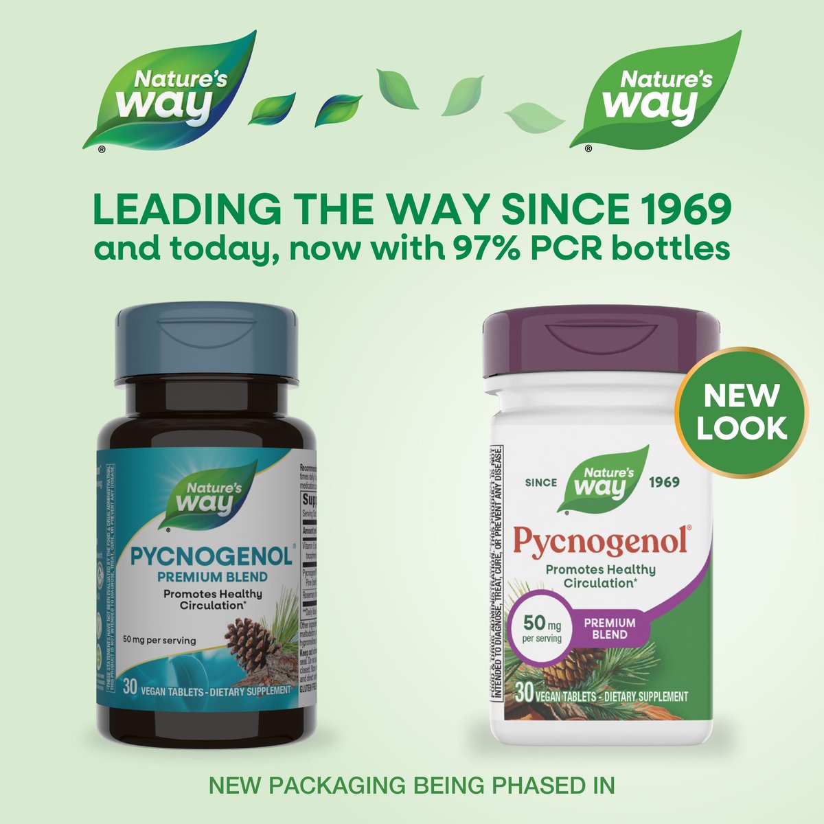 Nature's Way Pycnogenol Premium Blend – 50 mg pro Portion, 30 vegane Tabletten – Unterstützt gesunde Durchblutung und Antioxidantienschutz
