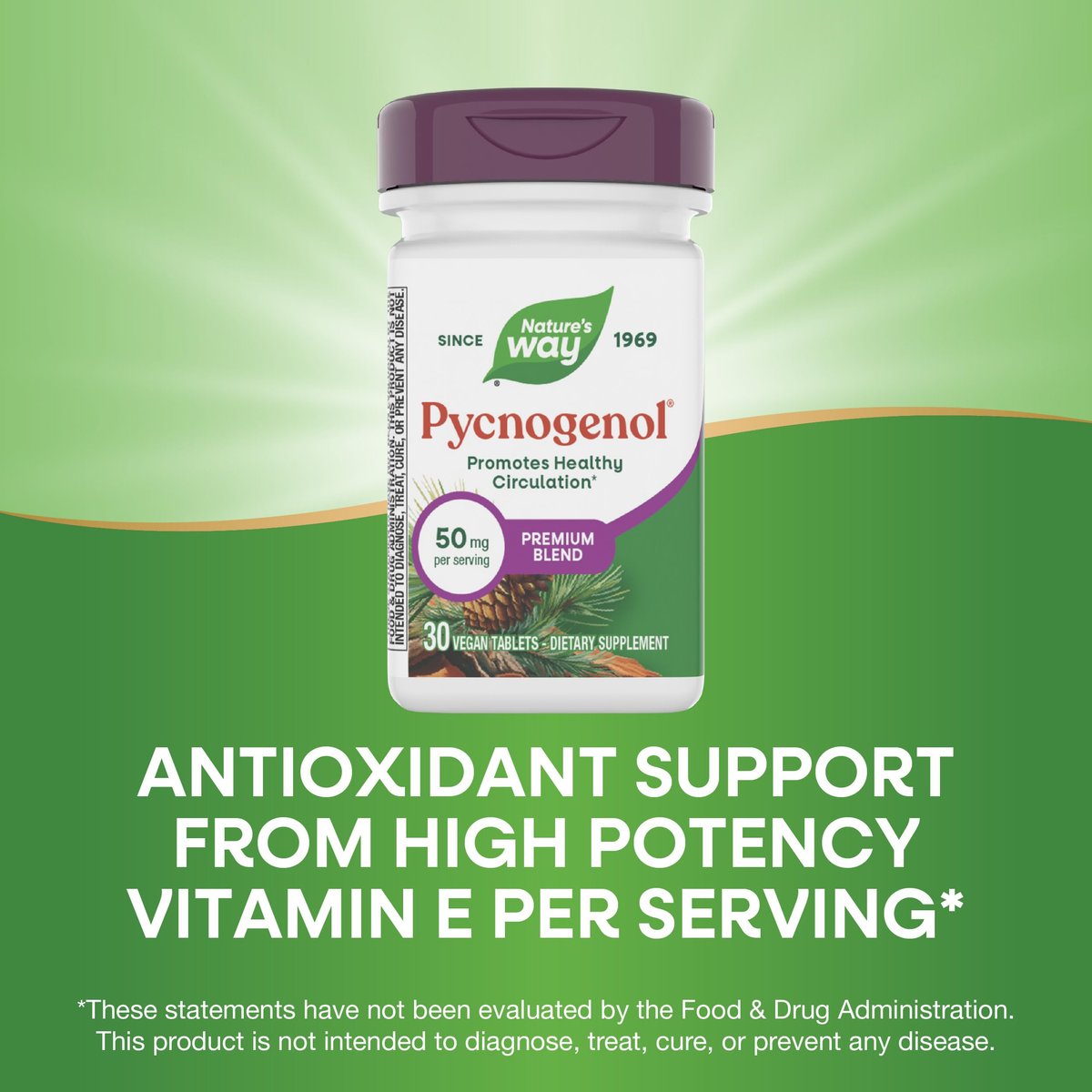 Nature's Way Pycnogenol Premium Blend – 50 mg pro Portion, 30 vegane Tabletten – Unterstützt gesunde Durchblutung und Antioxidantienschutz