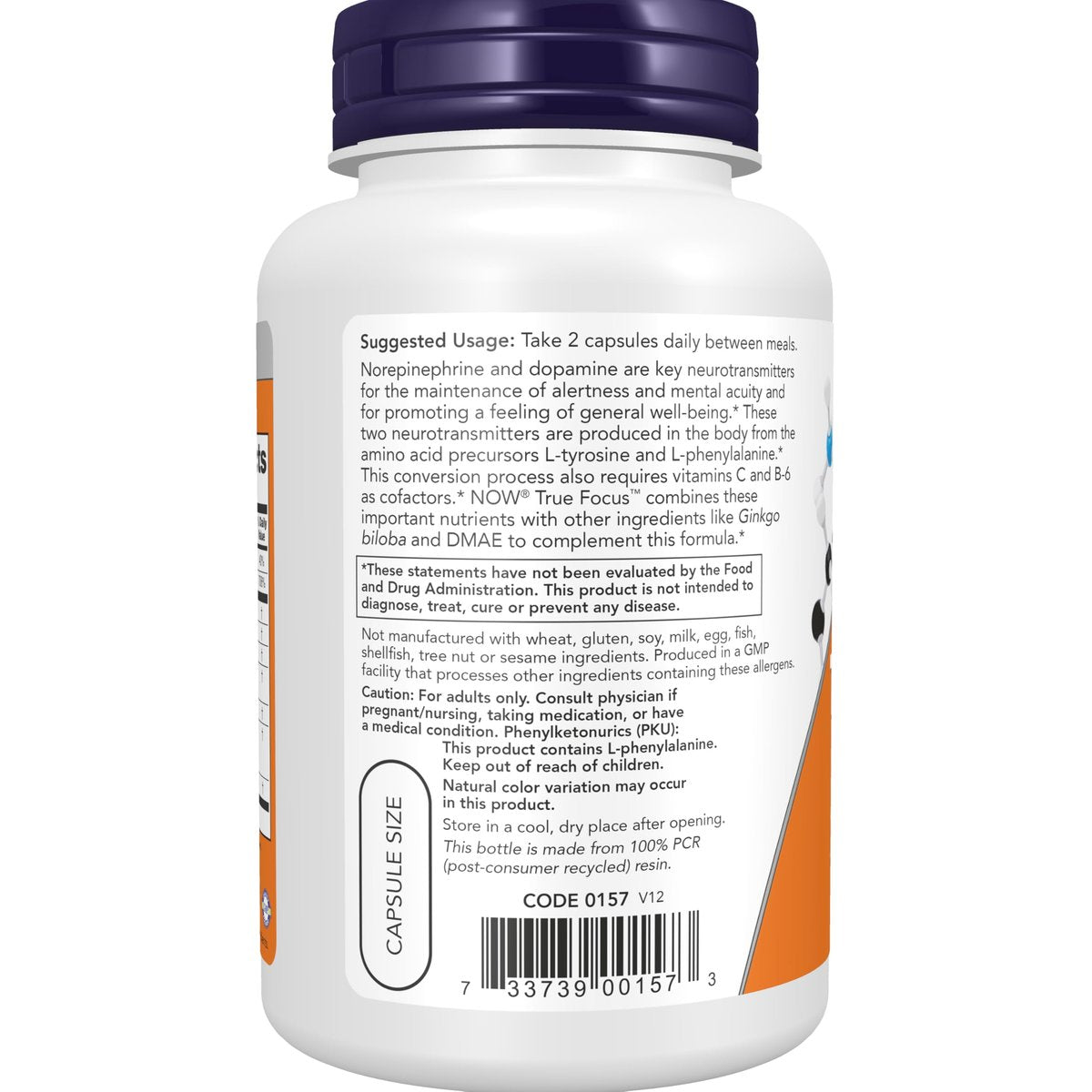 NOW Foods True Focus™ – Konzentrationshilfe mit Aminosäuren, Ginkgo, DMAE, CoQ10 und Traubenkernextrakt, 90 vegane Kapseln