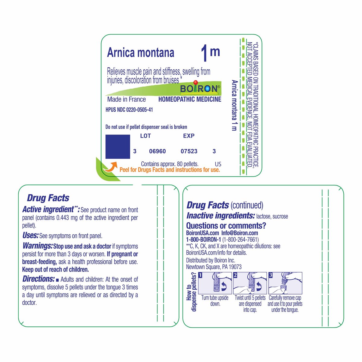 Boiron Arnica Montana 1M bei Muskelkater, Steifheit, Schwellungen durch Verletzungen und Prellungen – 80 Kügelchen