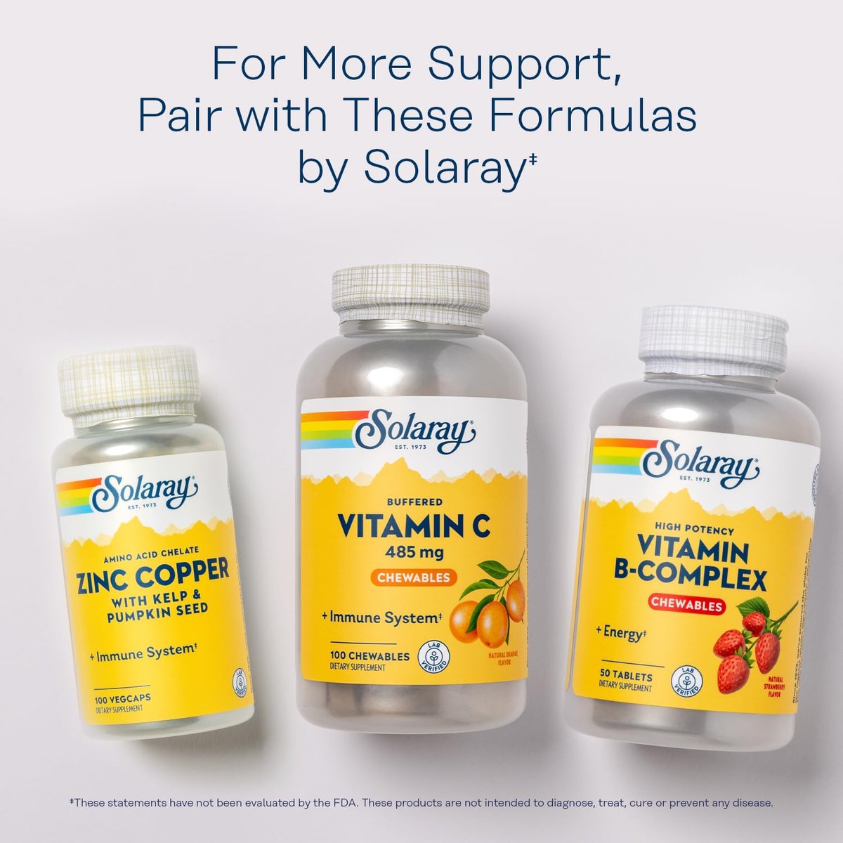 SOLARAY Kaubare Vitamin C mit Hagebutte und Acerola-Kirsche - Gepuffertes Vitamin C für sanfte Verdauung - Immununterstützung - Natürlicher Orangen-Geschmack, 60-Tage-Garantie, 100 Portionen, 100 Kautabletten