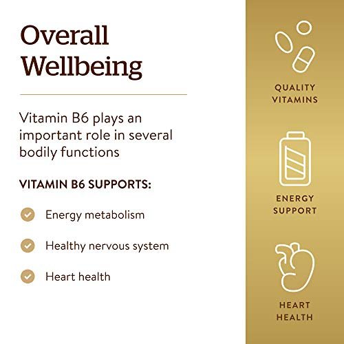 Solgar Vitamin B6 25 mg, 100 Tabletten – Unterstützt Energiestoffwechsel, Herzgesundheit und gesundes Nervensystem – B-Komplex-Ergänzung – Vegan, glutenfrei, laktosefrei, koscher – 100 Portionen