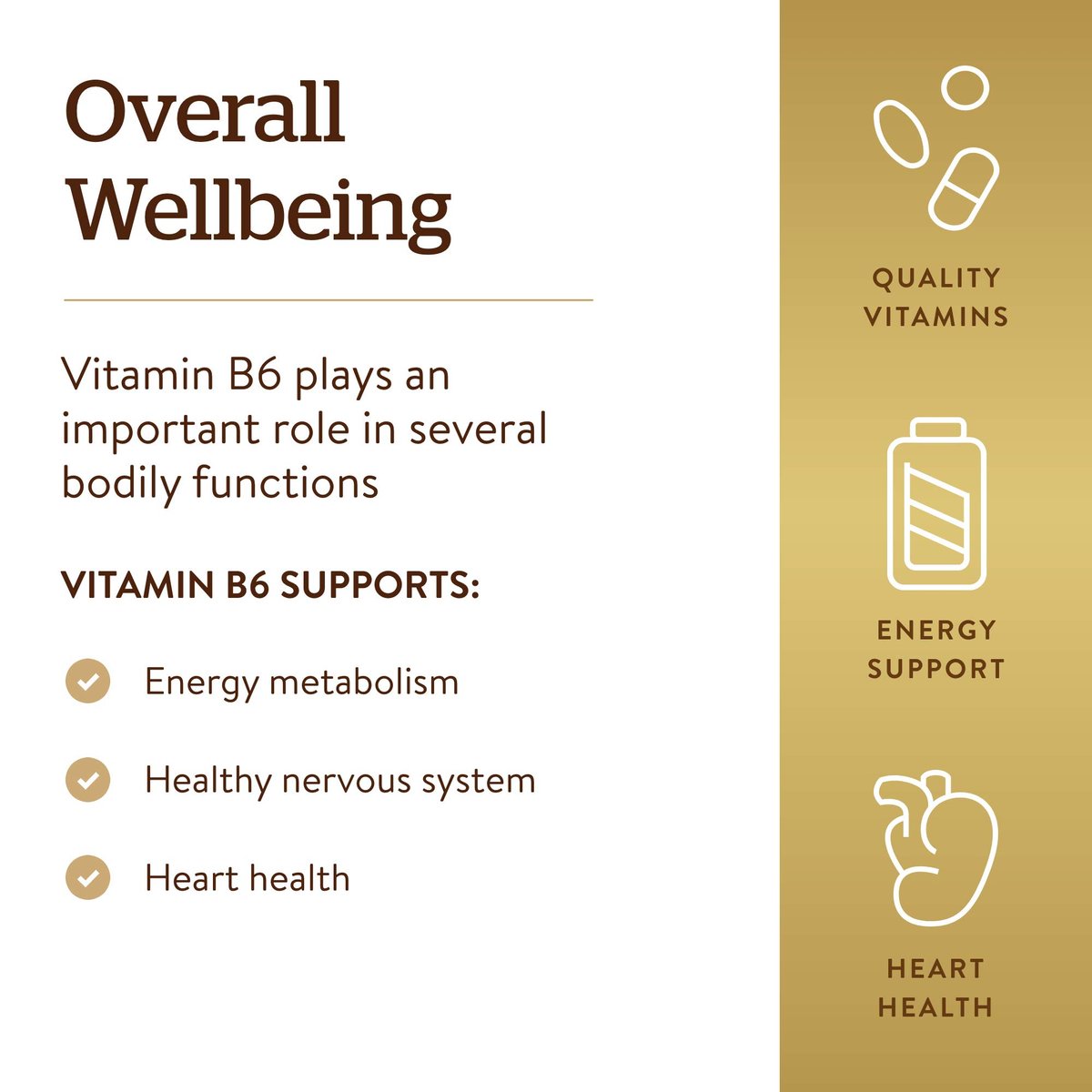 Solgar Vitamin B6 25 mg, 100 Tabletten – Unterstützt Energiestoffwechsel, Herzgesundheit und gesundes Nervensystem – B-Komplex-Ergänzung – Vegan, glutenfrei, laktosefrei, koscher – 100 Portionen