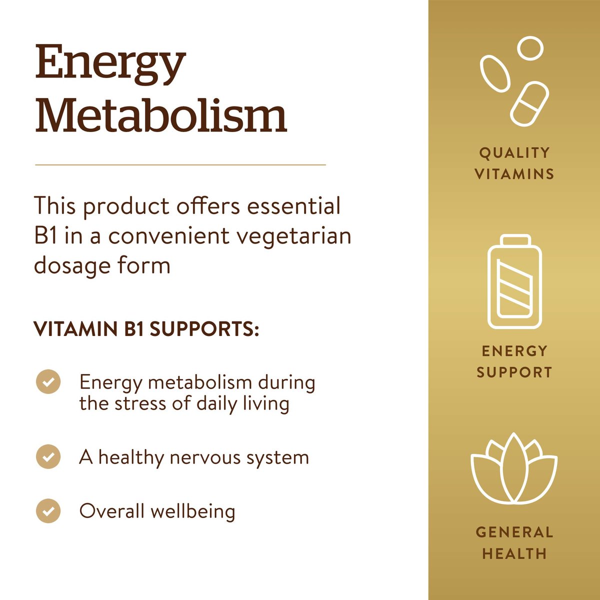 Solgar Vitamin B1 (Thiamin) 500 mg, 100 Tabletten - Energie-Stoffwechsel, gesundes Nervensystem, allgemeines Wohlbefinden - Hochpotenz - Nicht-GVO, vegan, glutenfrei, laktosefrei - 100 Portionen