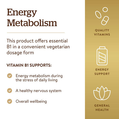 Solgar Vitamin B1 (Thiamin) 500 mg, 100 Tabletten - Energie-Stoffwechsel, gesundes Nervensystem, allgemeines Wohlbefinden - Hochpotenz - Nicht-GVO, vegan, glutenfrei, laktosefrei - 100 Portionen