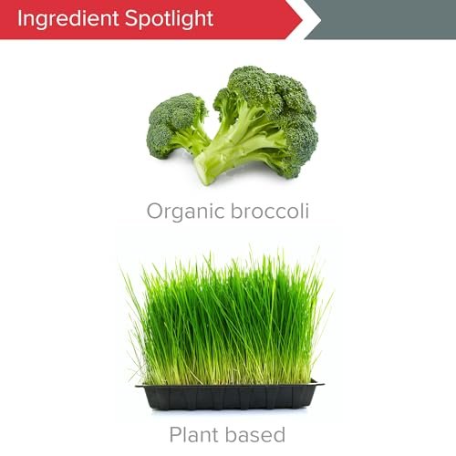 Vibrant Health Super Natural Boron – Unterstützung für gesunde Gelenke, Hormonspiegel und Bindegewebe mit Calciumfructoborat und Brokkolipulver, glutenfrei, vegetarisch, nicht gentechnisch verändert, 60 Kapseln